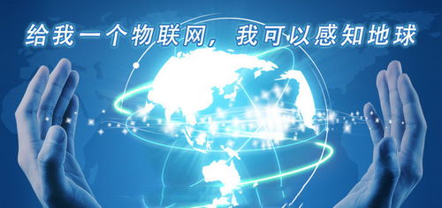 物聯(lián)網產業(yè)崛起背后的無形基石 網絡技術開發(fā)的驅動與創(chuàng)新